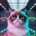 Schrödingers Katze – »Qubit«-Sprung 2025